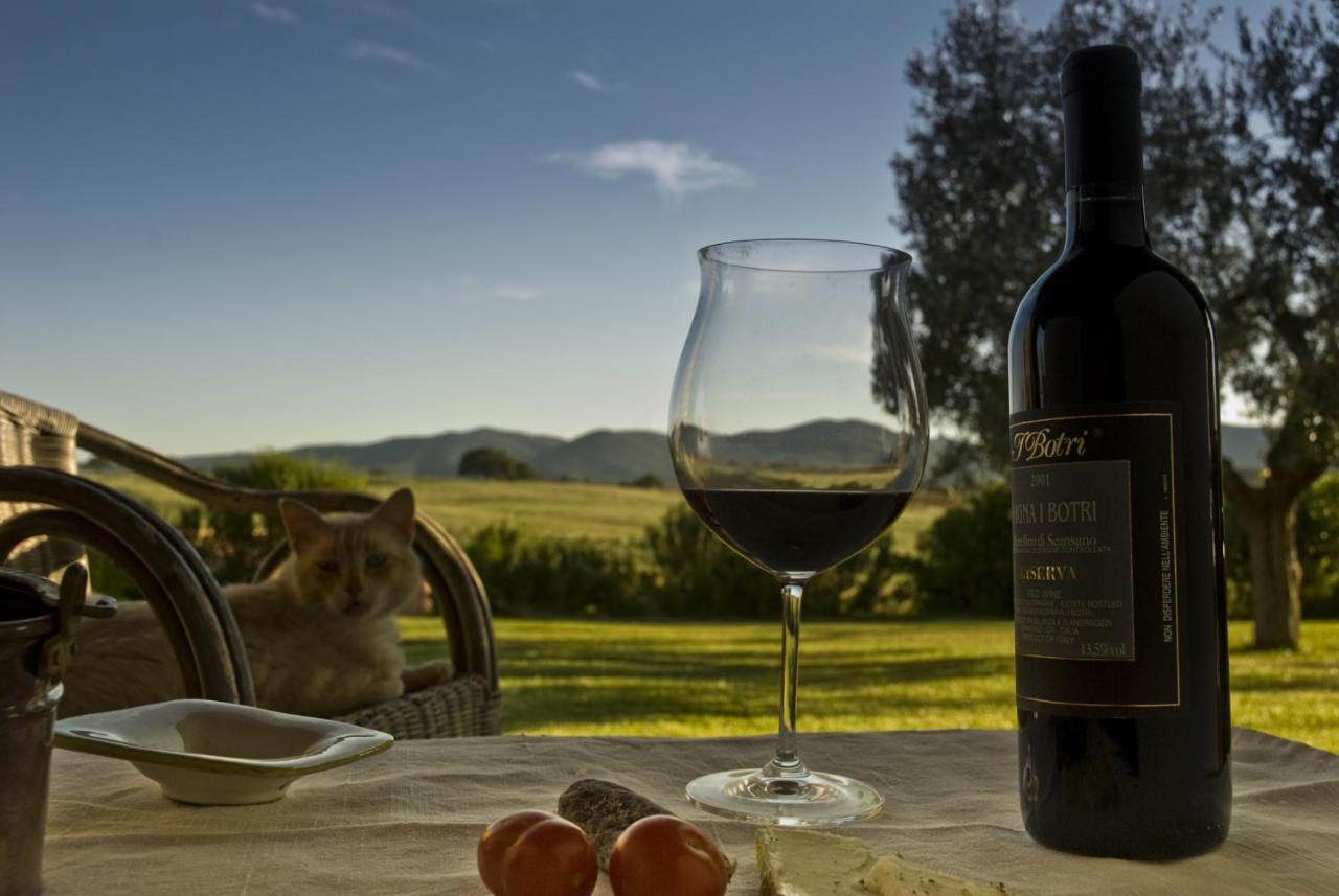Bio Agriturismo Il Melograno Di Banditella Ristorante Alberese Exterior foto