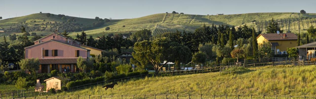 Agriturismo Il Melograno Di Banditella Alberese Exterior foto